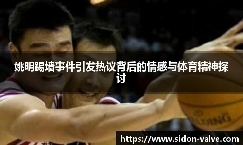 姚明踢墙事件引发热议背后的情感与体育精神探讨