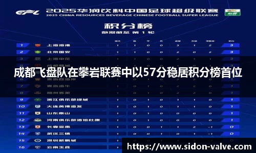 V体育