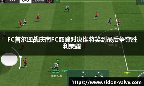 V体育