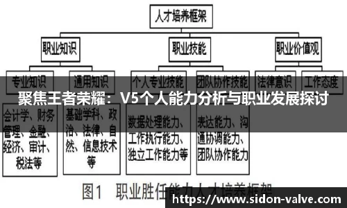 聚焦王者荣耀：V5个人能力分析与职业发展探讨