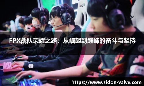 FPX战队荣耀之路：从崛起到巅峰的奋斗与坚持