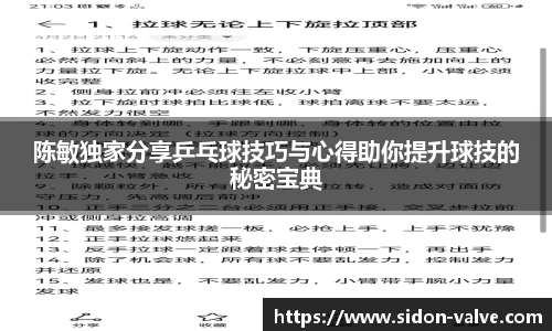 陈敏独家分享乒乓球技巧与心得助你提升球技的秘密宝典